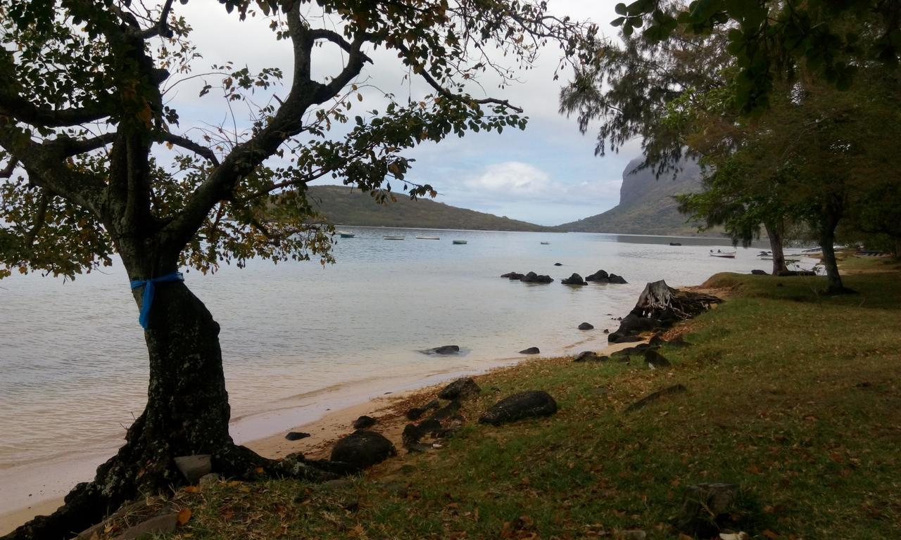 Ideal For Kite Surfer&Family Le Morne Exteriör bild